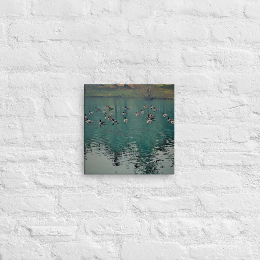 Geese on green reflected lake - Canvas