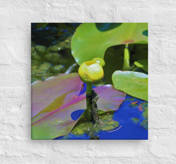 Floating yellow flower - Canvas