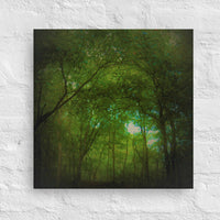God's Cathedral - Light filtering through arch in forest- Canvas