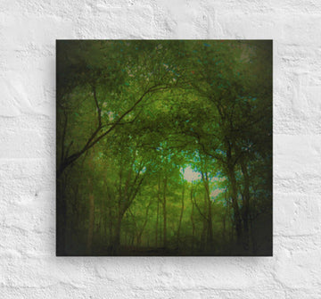 God's Cathedral - Light filtering through arch in forest- Canvas