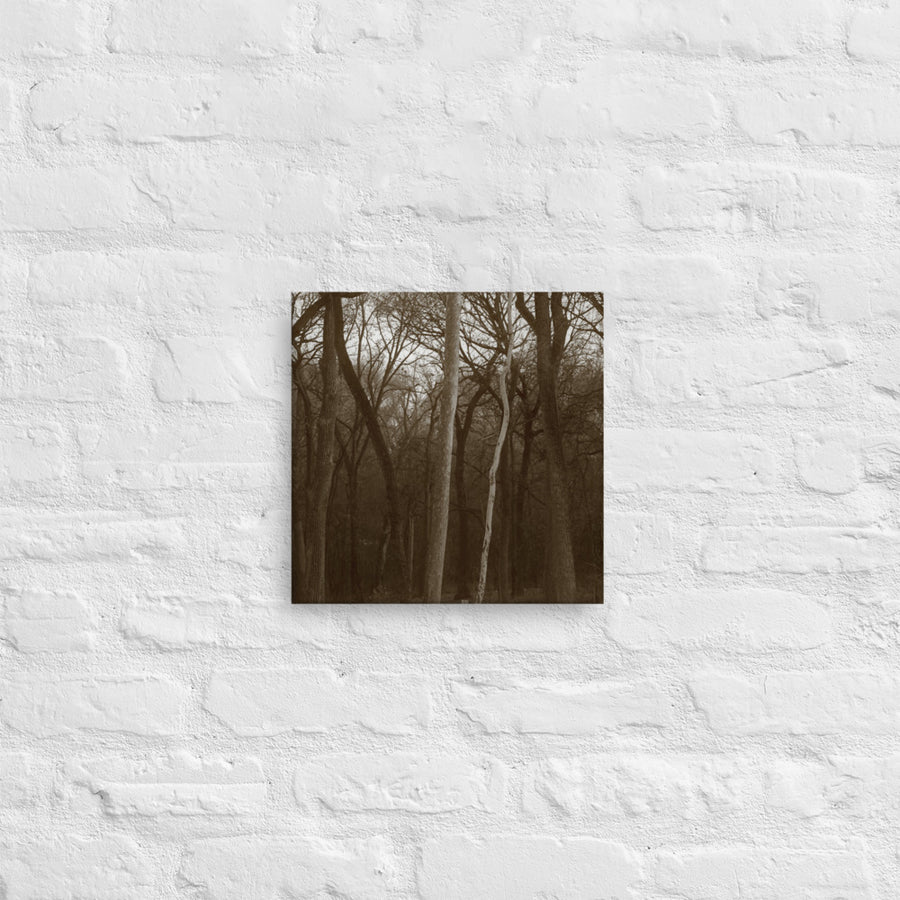 White tree- Canvas
