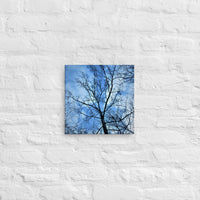 Branches against blue clouded sky - Canvas