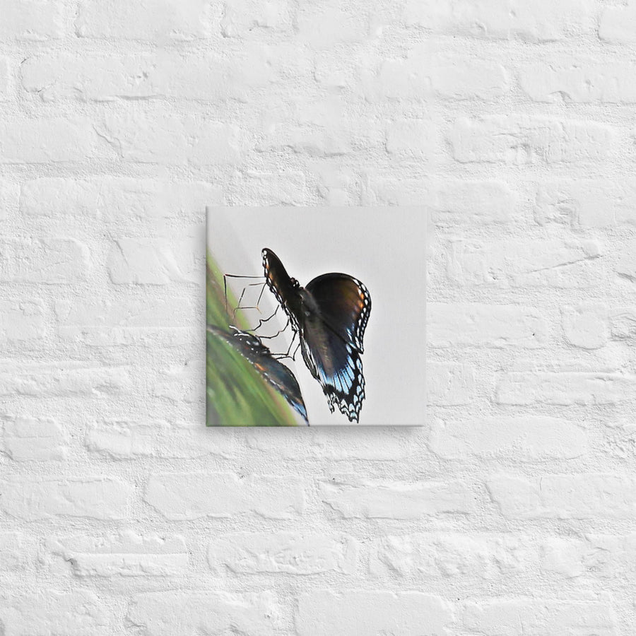 Butterfly- Canvas