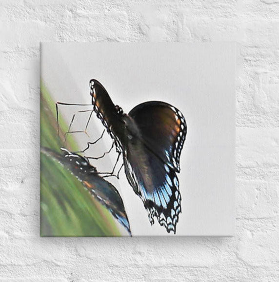 Butterfly - Unframed