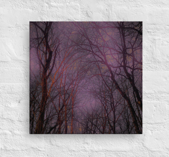 Cathedral of trees at dusk - Canvas