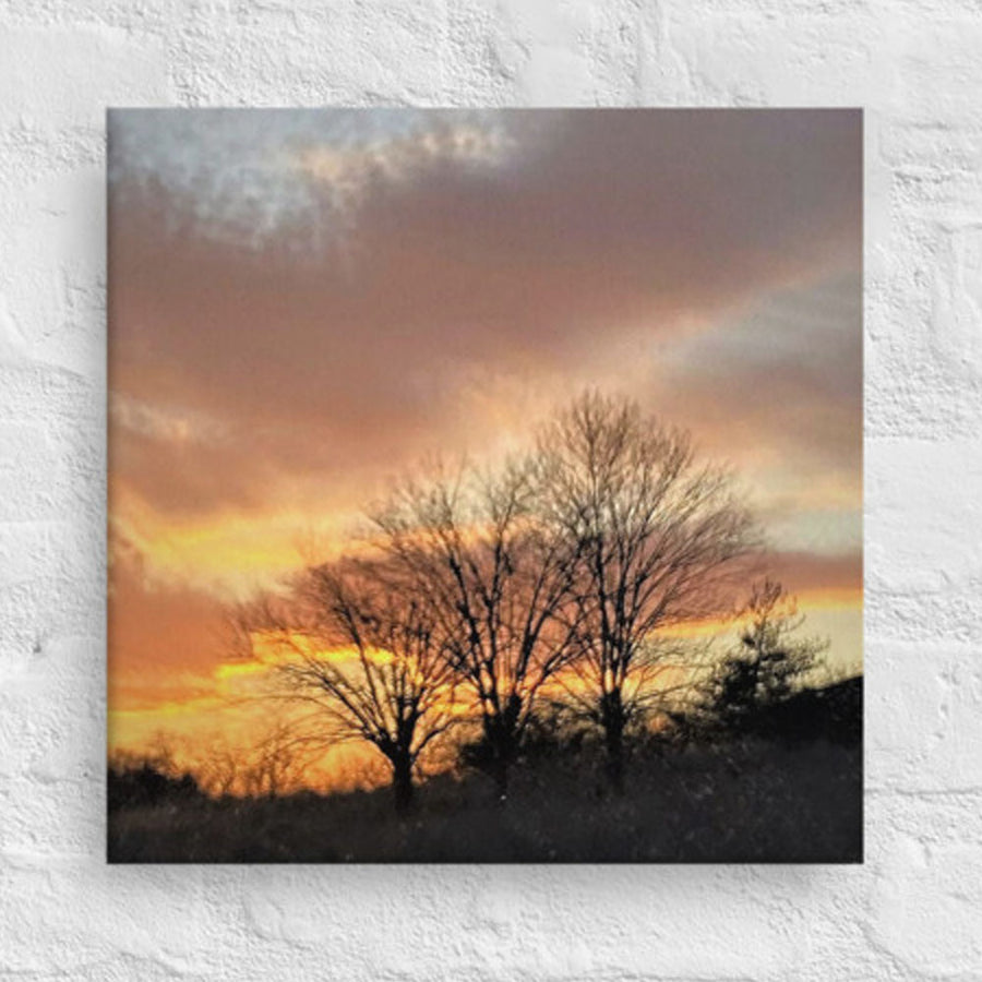 Colorful evening clouds with trees - Canvas
