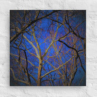 White tree against blue sky - Canvas