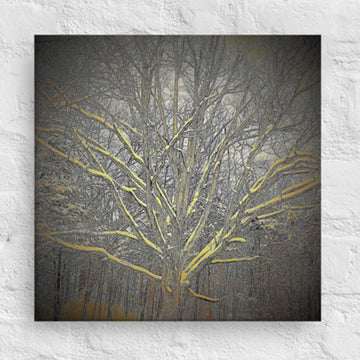 Tree with snow - Canvas