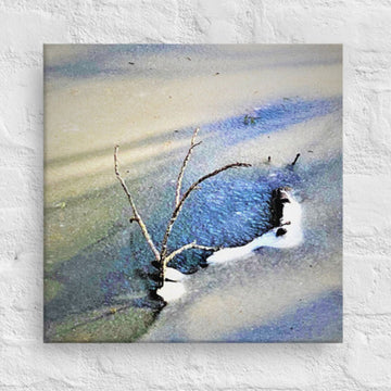 Branches arising frozen pond - Unframed