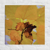 Red surrounded by yellow leaves - Canvas