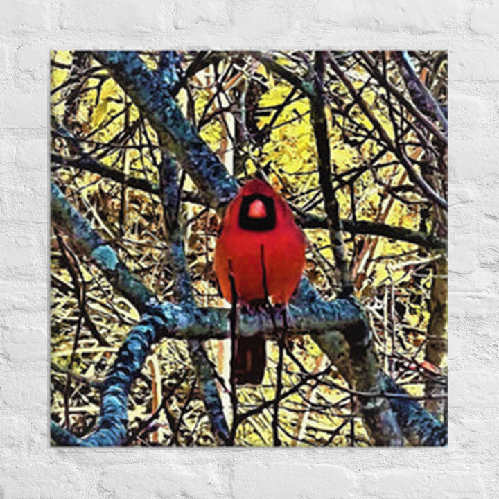 Cardinal in my backyard - Canvas