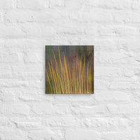 Impressions of tall grasses - Canvas