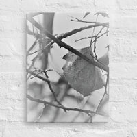 Last leaf on tree - Canvas