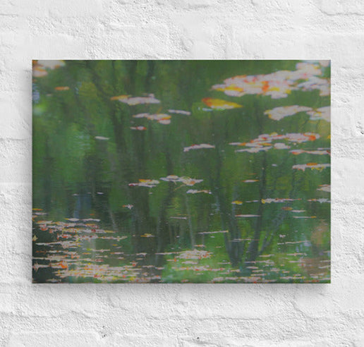 Reflections on a lake - Canvas