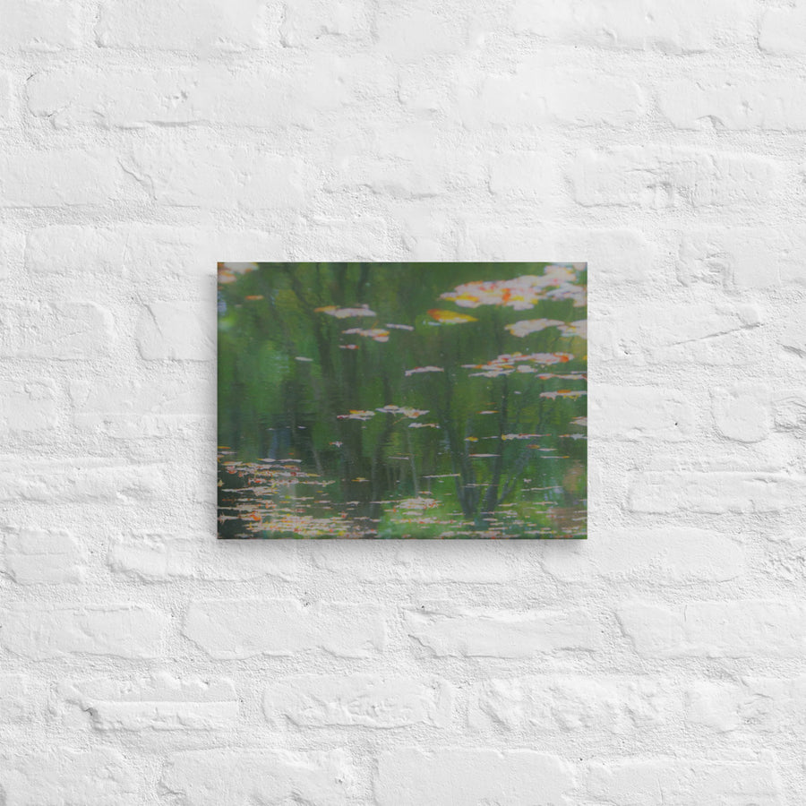 Reflections on a lake - Canvas