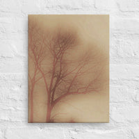 Soft focus tree - Canvas