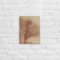 Soft focus tree - Canvas