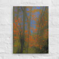 Colorful leaves - Canvas