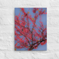 Red leaf tree - Canvas
