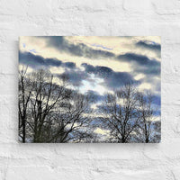 Dramatic clouds over trees - Canvas