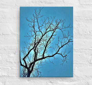 Bare tree against blue sky - Canvas
