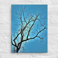 Bare tree against blue sky - Unframed