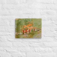 Floating leaves on a lake - Canvas