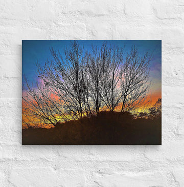 Sunrise behind tree top - Canvas