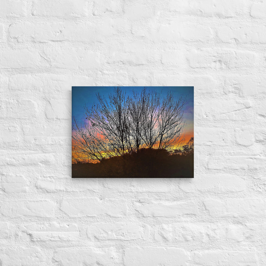 Sunrise behind tree top - Canvas