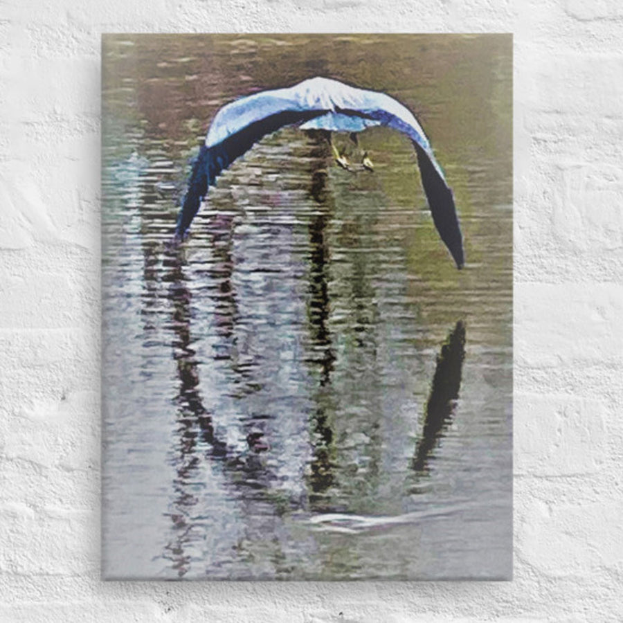 Flying bird with reflection - Unframed