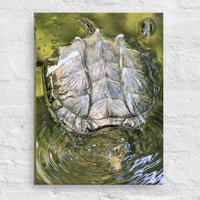 Turtle in water - Canvas