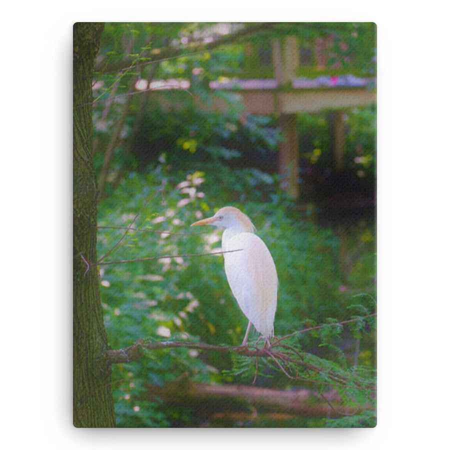 Bird on branch - Canvas