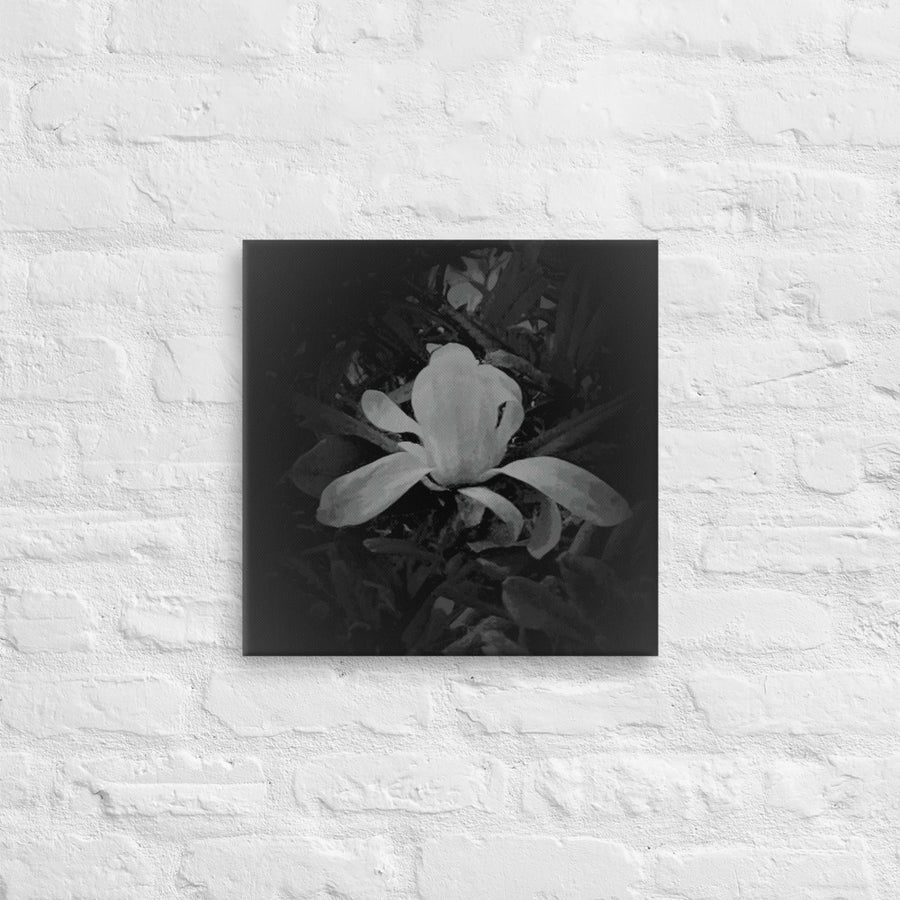 Single white flower in dark- Canvas