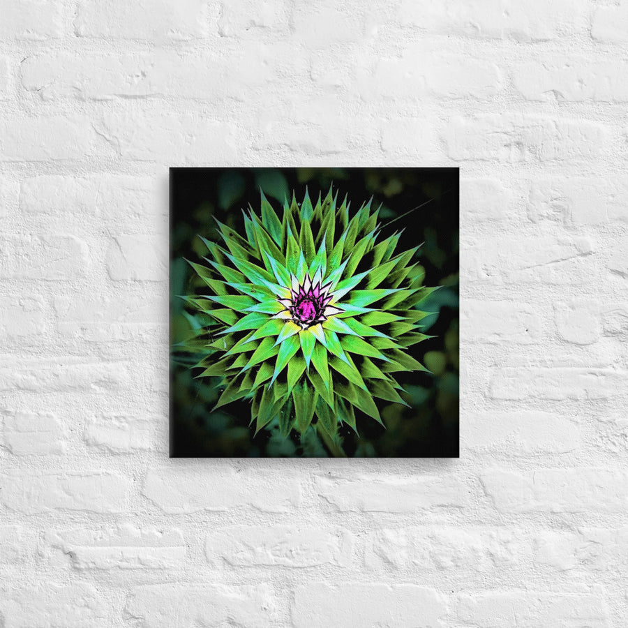 Wild flower sunburst - Canvas