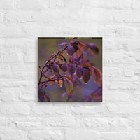 Raindrops on colorful leaves - Canvas