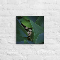 Lily of Valley among foliage - Canvas