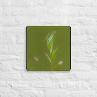 Plants and feathers floating on a lake - Canvas