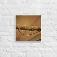 Raindrops on branch arch - Canvas