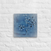 Ice on twigs - Canvas