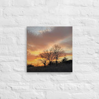 Colorful evening clouds with trees - Canvas
