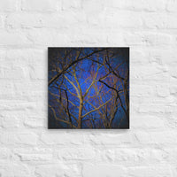 White tree against blue sky - Canvas