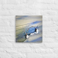 Branches arising from frozen pond - Canvas