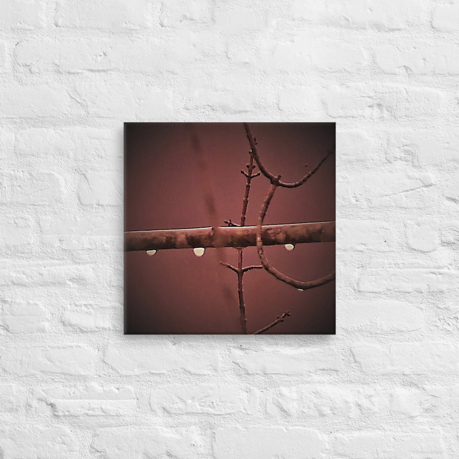 Three raindrops on branch - Canvas