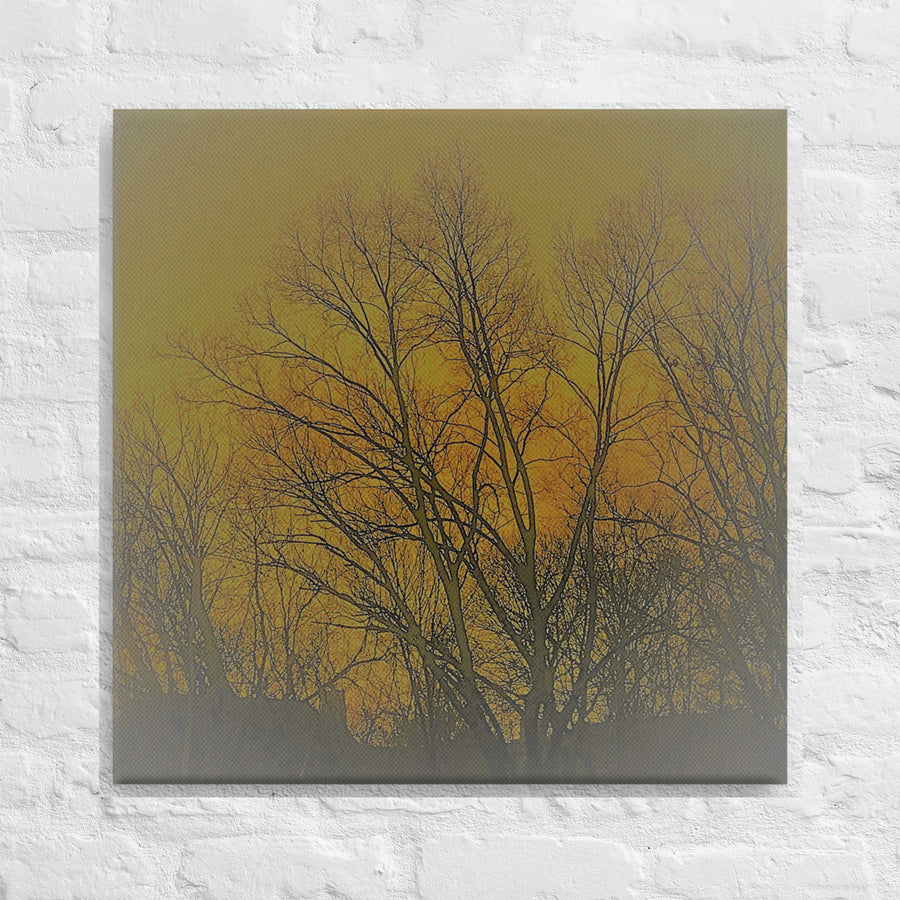 Sunrise clouds behind trees - Canvas