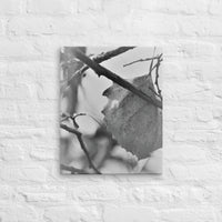 Last leaf on tree - Canvas