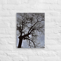 Bare tree against cloudy sky - Canvas