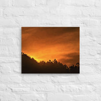 Sunrise over forest - Canvas