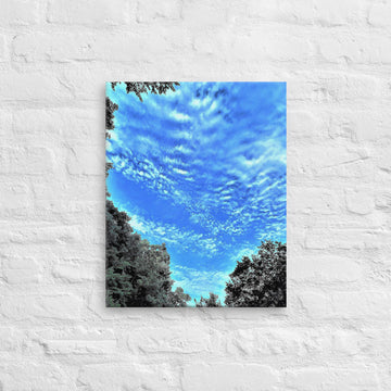 Ascending clouds between trees - Canvas