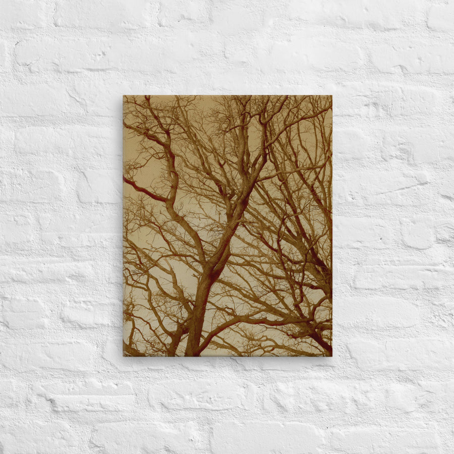 Intersecting trees - Canvas