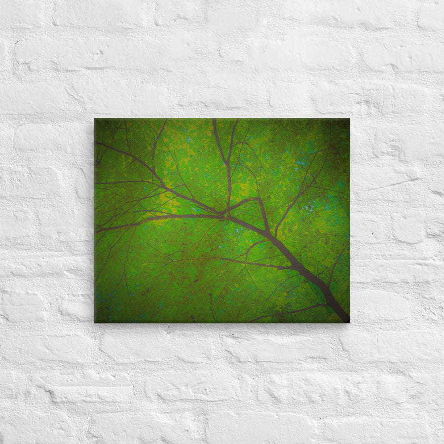 Light filtering through branches and leaves - Canvas